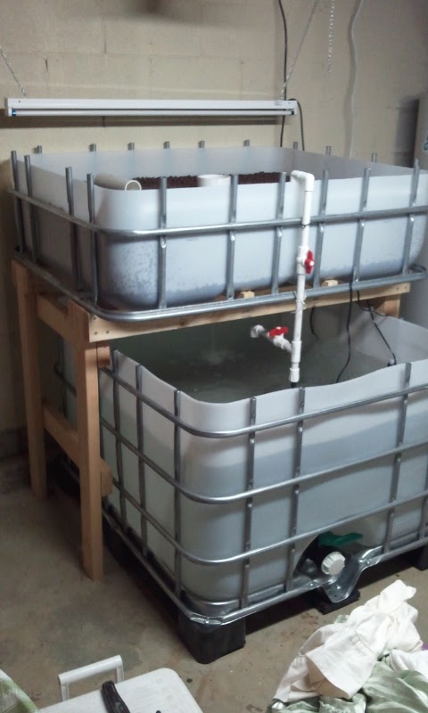 2013-01-06-10-05-41