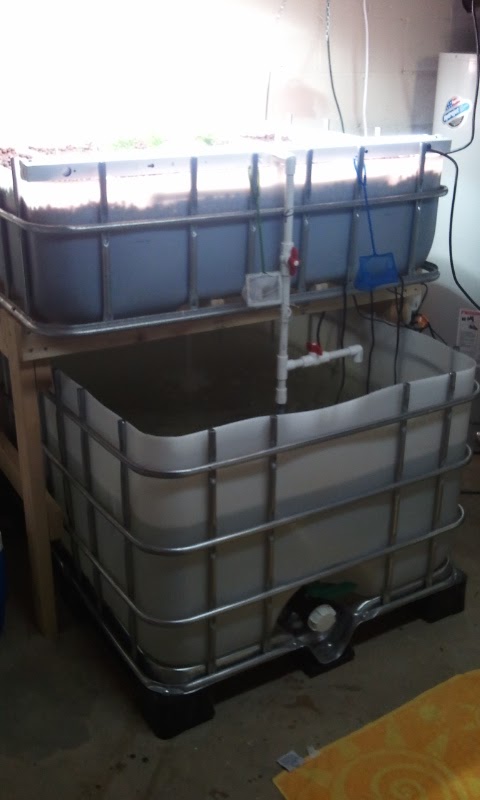 2013-01-20-18-07-15