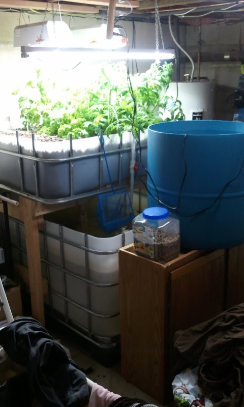 2013-05-10-07-09-02