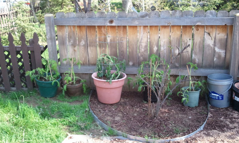 2013-05-12-16-20-58