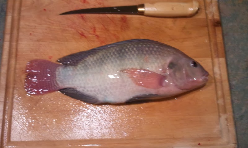 The 14 incher